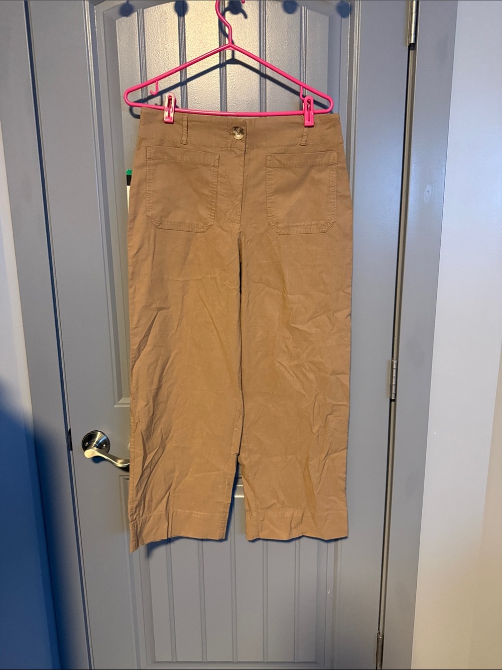 Dalia Wide-Leg Pants in Tan